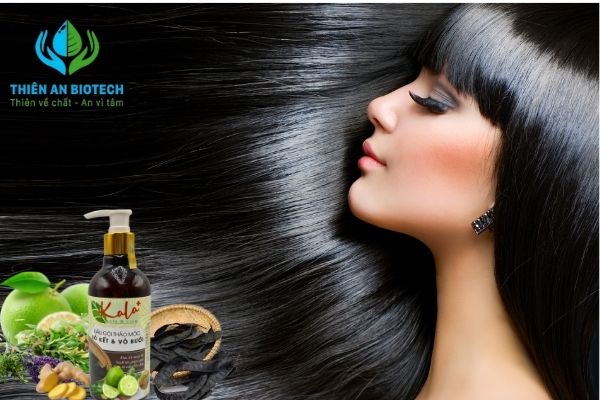 Dầu gội thảo mộc Kala với dưỡng chất hoàn toàn từ thiên nhiên, là sản phẩm dầu gội dành cho salon tóc siêu chuộng