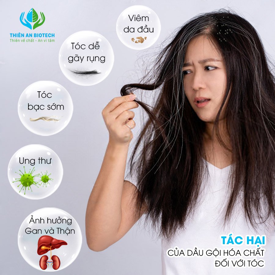 Dầu gội hóa chất công nghiệp là nguyên nhân khiến tóc ngày càng hư tổn và gây ảnh hưởng đến sức khỏe